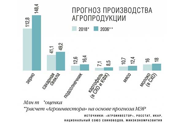 купить овощи